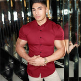 Men's Fitted Short Sleeve Collard Shirt